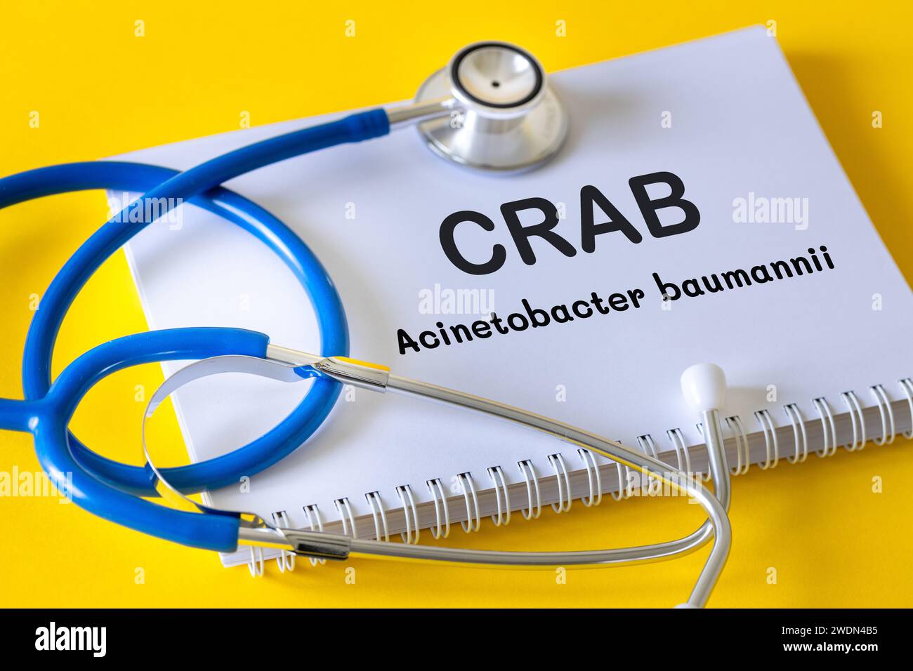 Crab, Acinetobacter baumannii bacterium, dangerous antibiotic resistant pathogens, medical science concept, text in doctor's notebook lying next to st Stock Photo