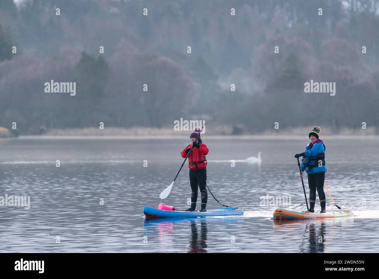 2 Stand Up Paddle Boarders (SUP) on the Loch of Skene Early on a Cold Morning in Winter Stock Photo
