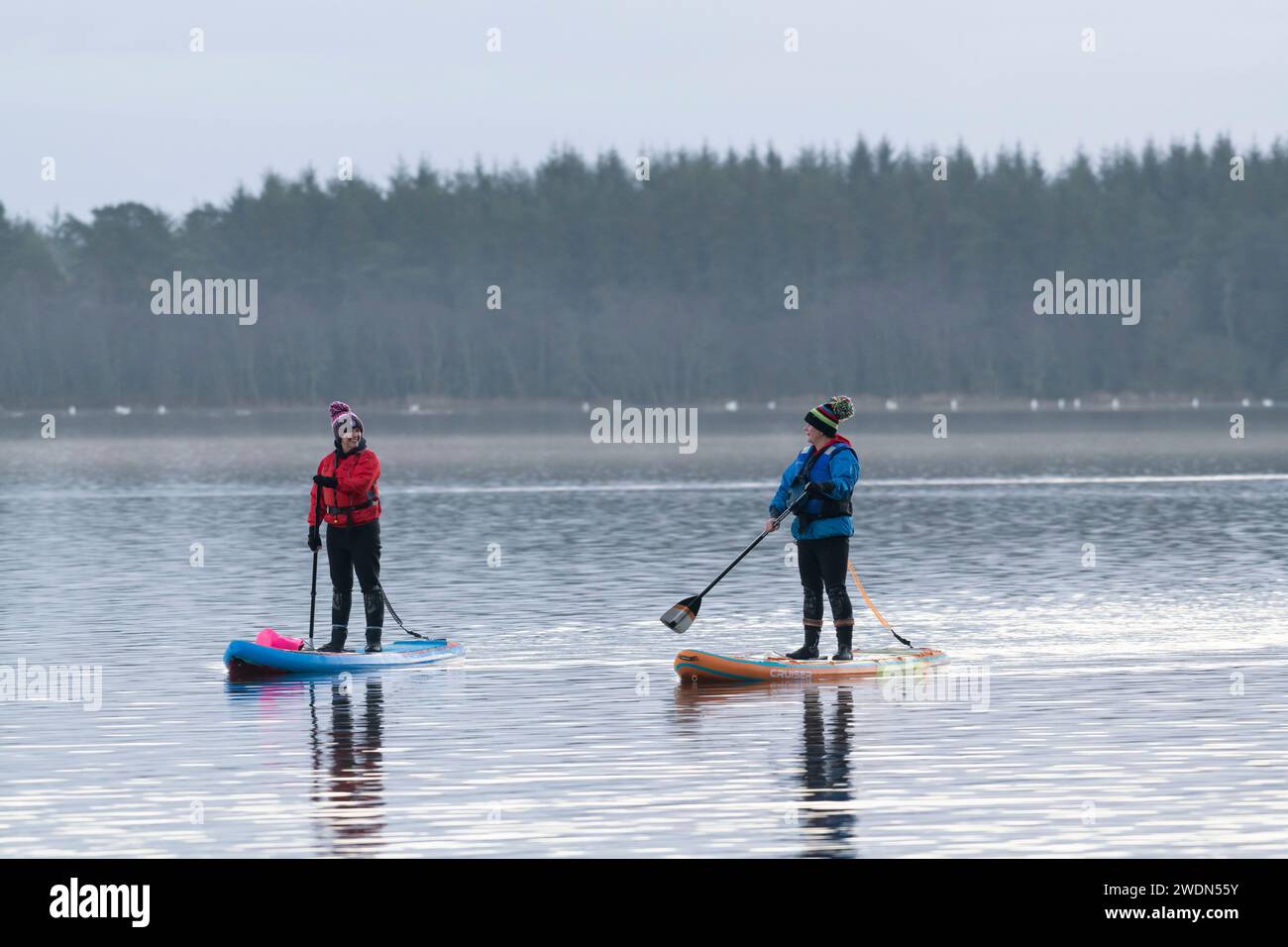 Two People Stand Up Paddle Boarding (SUP) on the Loch of Skene on a Calm Morning in Winter Stock Photo