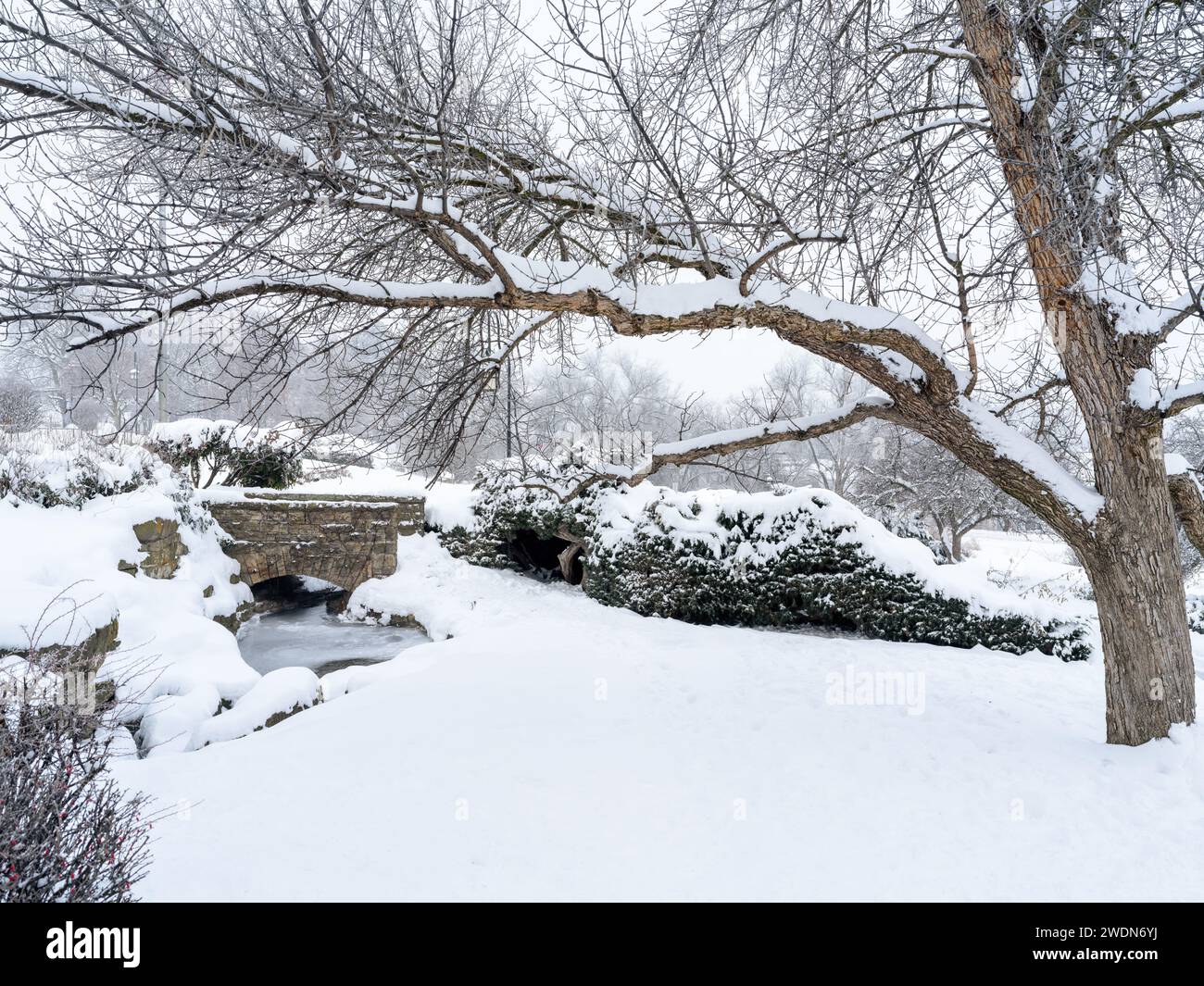 Stream train on stone hi-res stock photography and images - Alamy