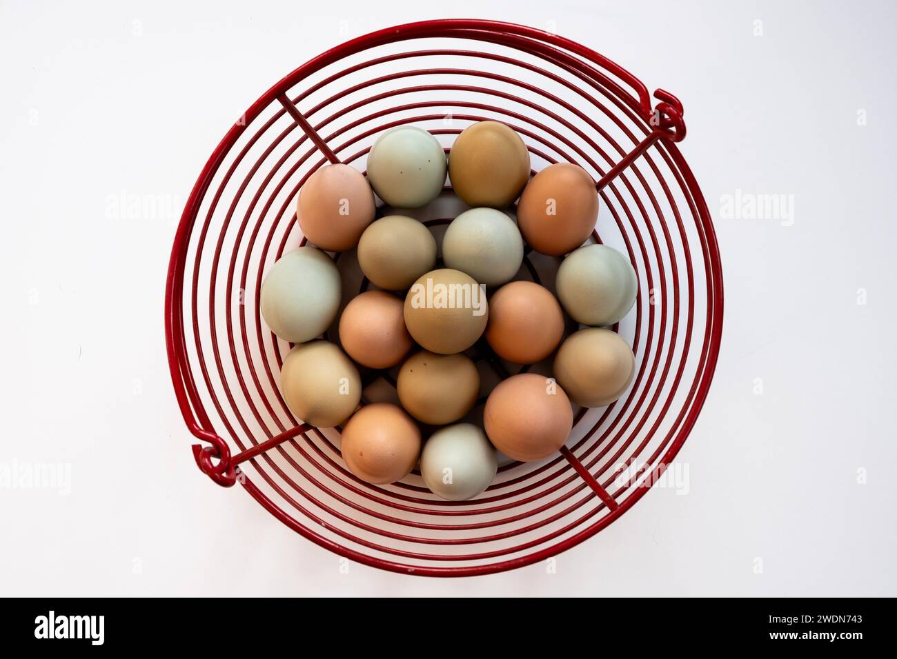 Basket of free range multi coloured chicken eggs Stock Photo Alamy