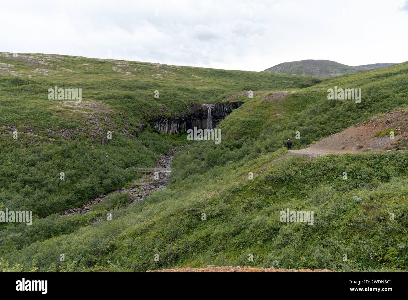Distant view of the Svartifoss waterfall from the hiking trail. Iceland Stock Photo