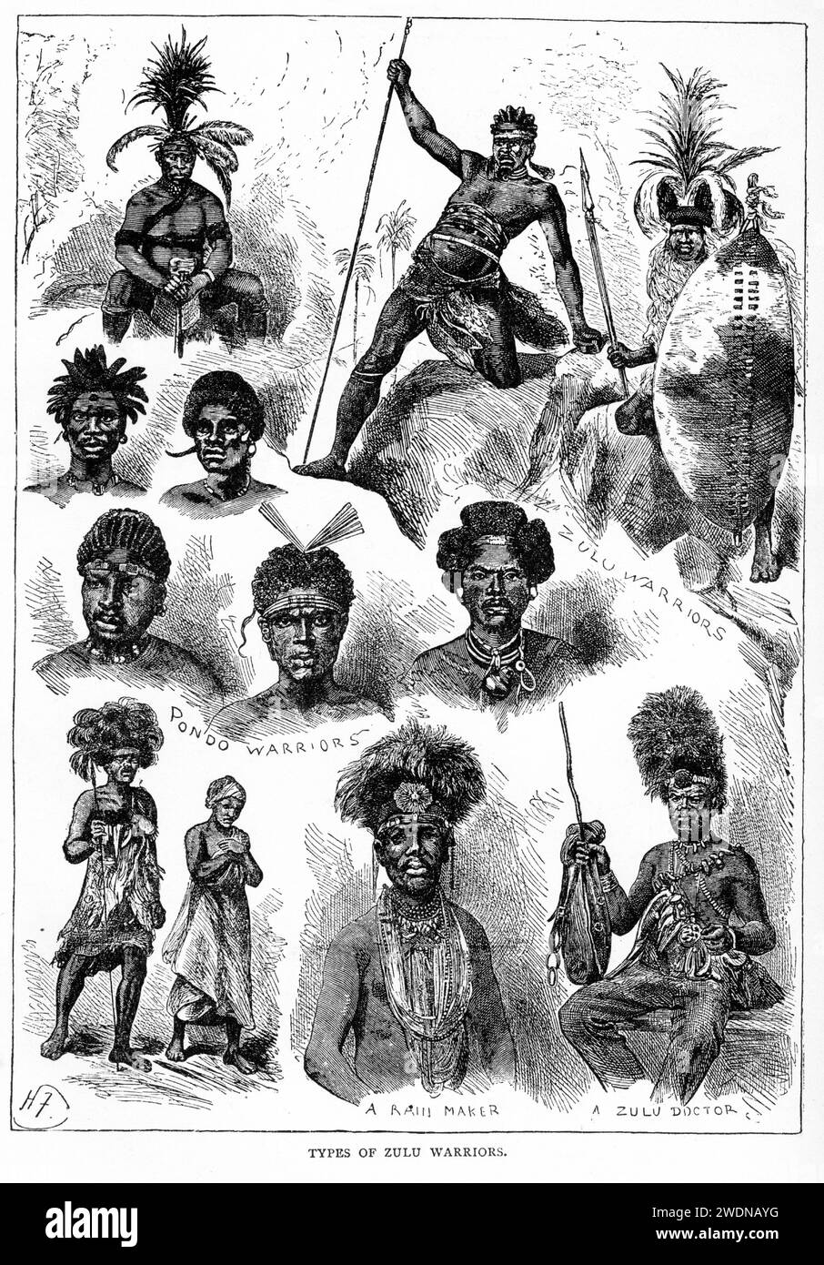 portraits of Zulu warriors, including fighting men, witch doctor, rainmaker and pondo warriors Stock Photo