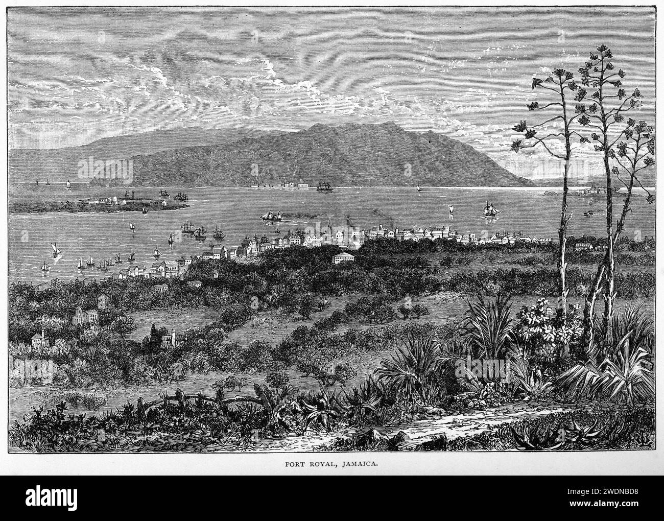 Engraving of Port Royal, Jamaica Stock Photo