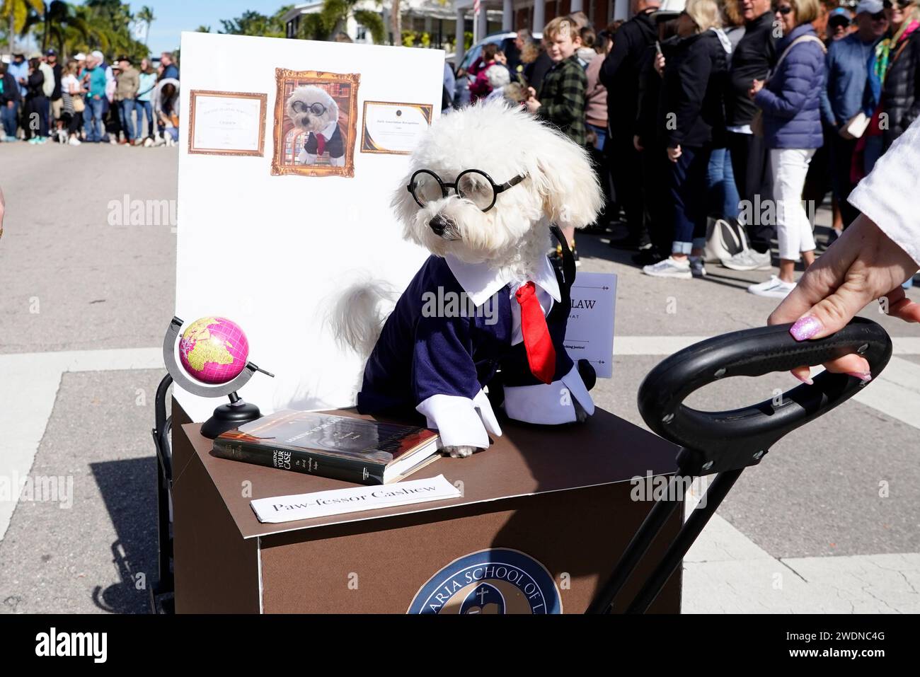 Naples, United States. 21st Jan, 2024. The Naples 15th Annual Pets on