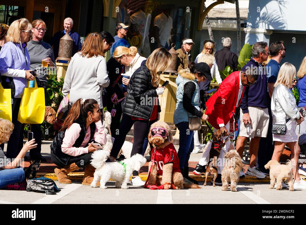 Naples, United States. 21st Jan, 2024. The Naples 15th Annual Pets on