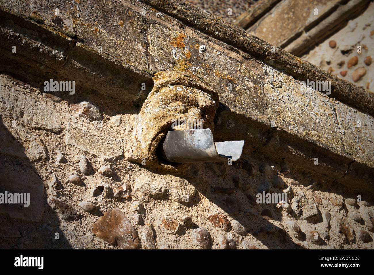 Gargoyle with Waterspout at St Mary Magdalene Church in Hilton, Cambridgeshire Stock Photo