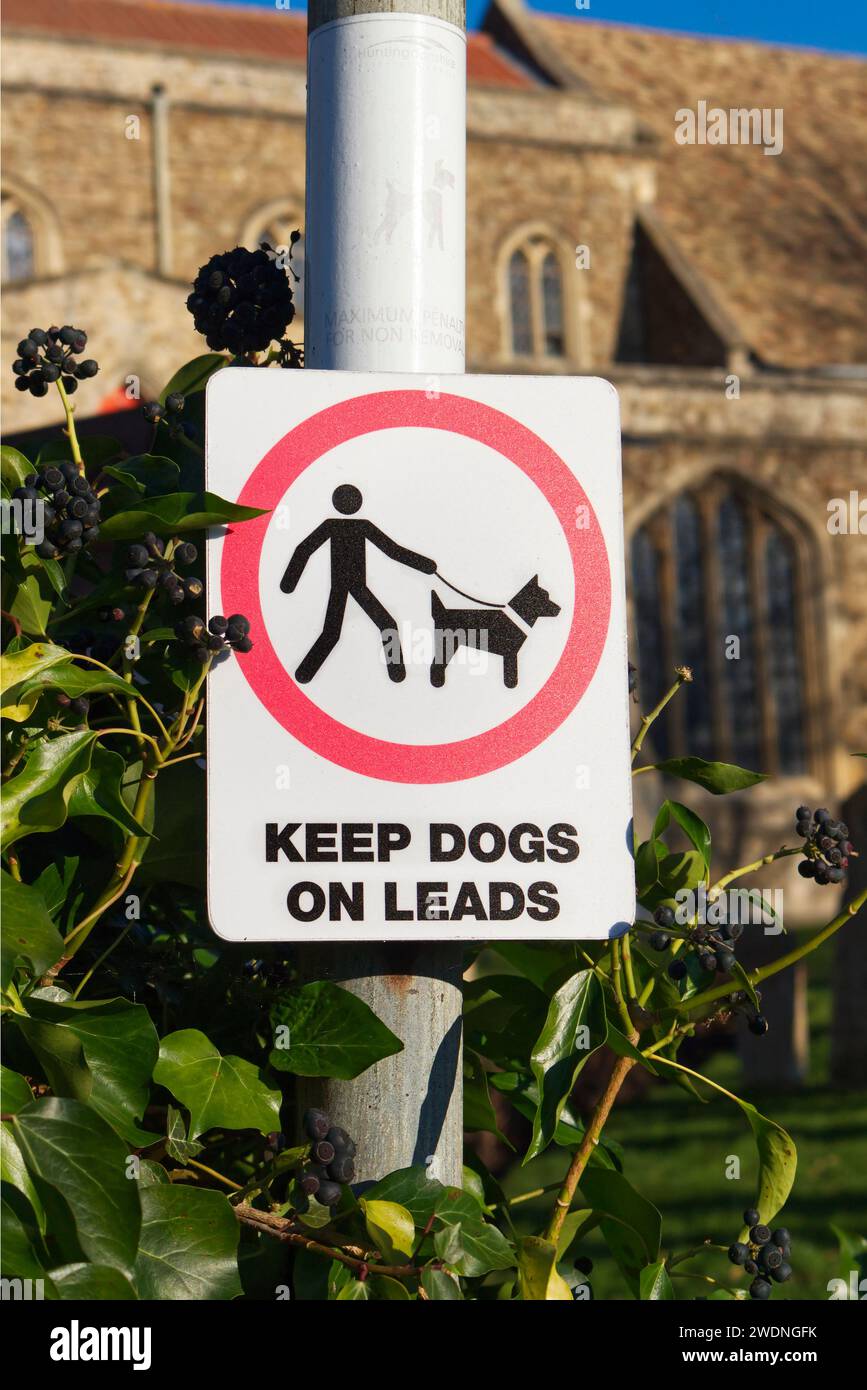Keep Dogs on Leads Sign in Fenstanton, Cambridgeshire Stock Photo