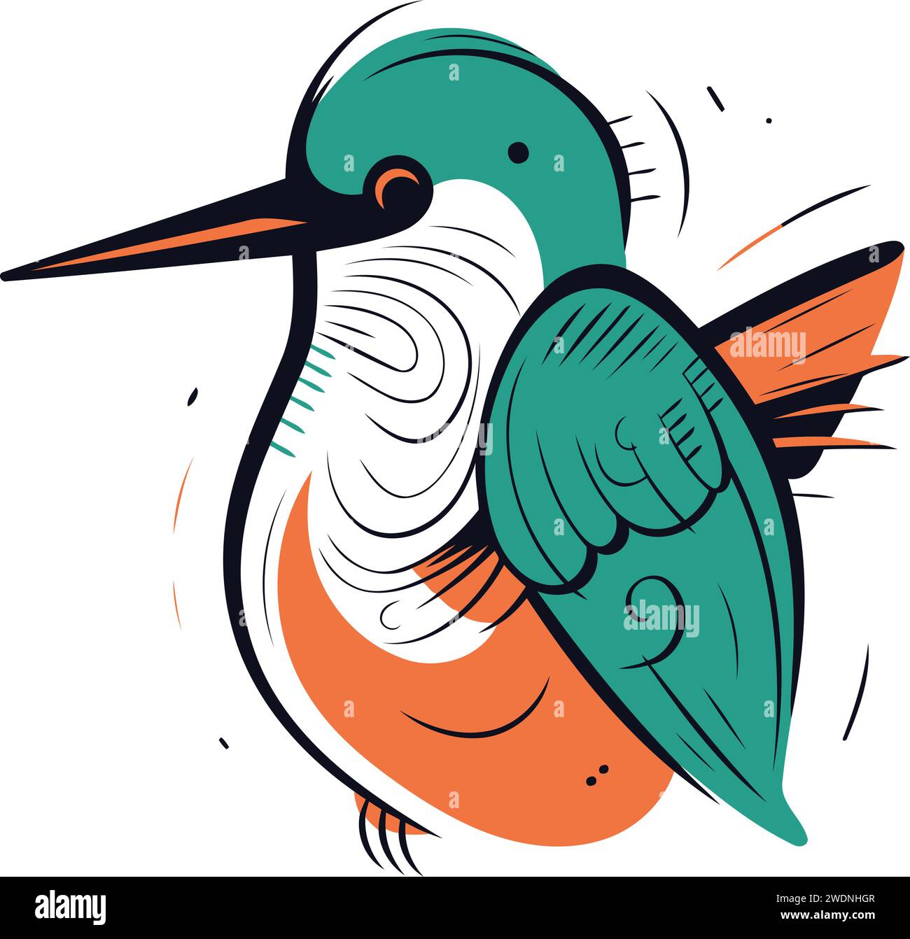 Hand drawn illustration kingfisher Stock Vector Images - Alamy
