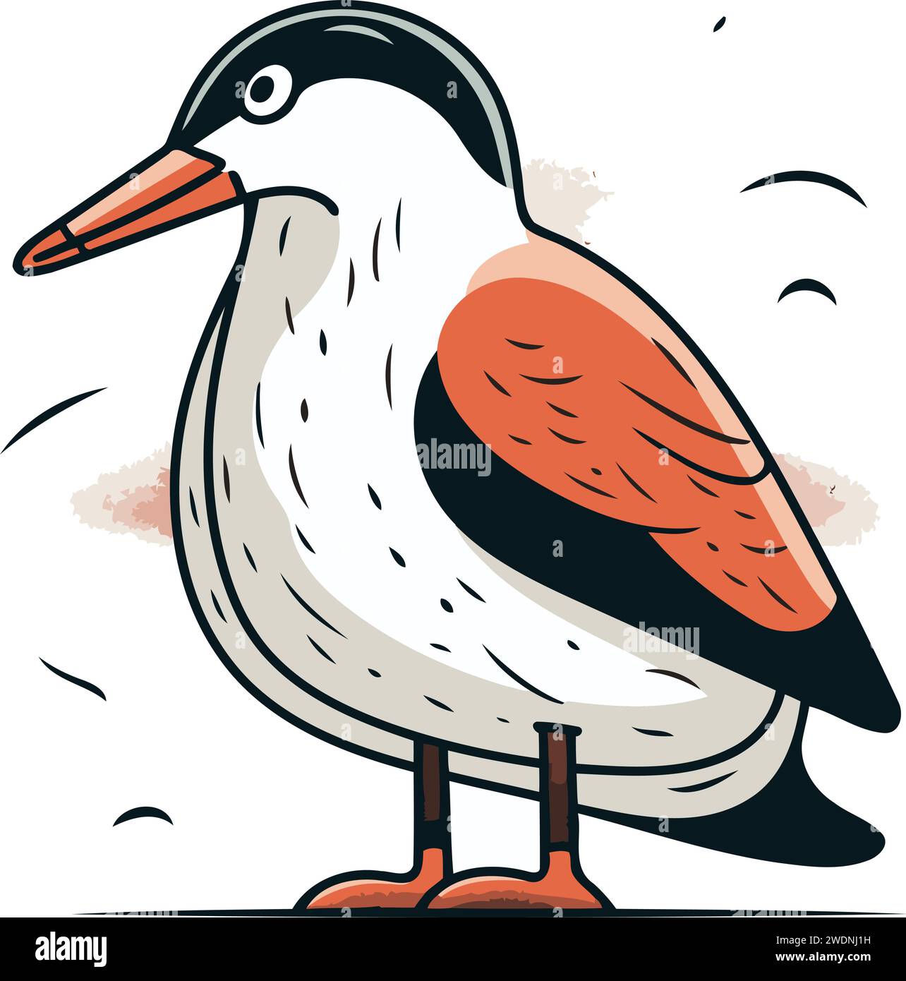 Vector illustration of a bird. Isolated on a white background Stock ...