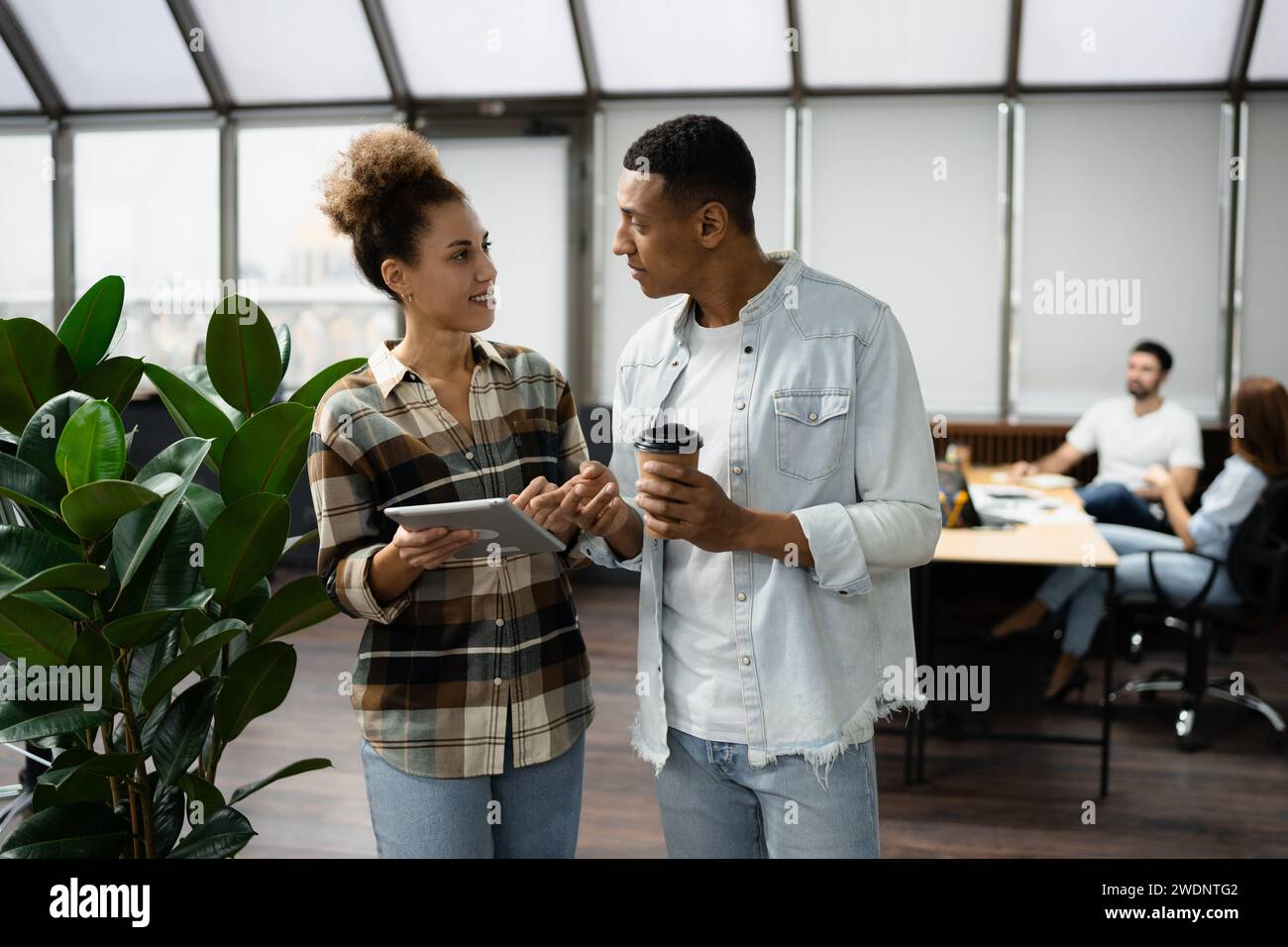 Group of diverse businesspeople using a laptop while working together in a modern workspace. Stock Photo