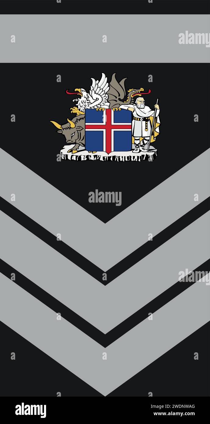 Shoulder pad military officer insignia of the Iceland FLOKKSTJÓRI 1-CATEGORY LEADER 1 Stock Vector