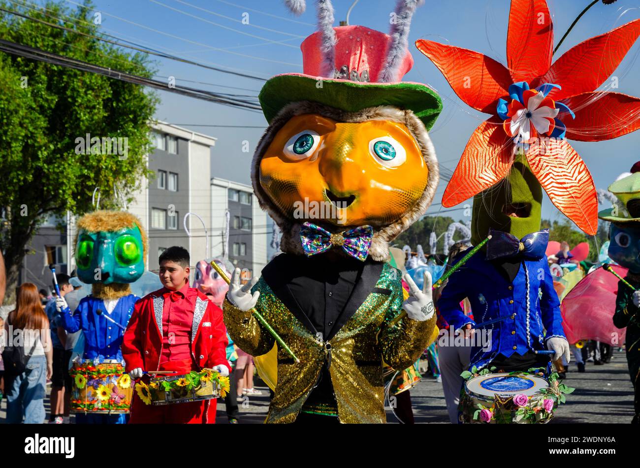 Talcahuano, Chile. 21st Jan, 2024. Talcahuano carnival, street parade, January 21th, 2024. The traditional Talcahuano carnival is starting today with the street parade, including popular characters, music and dancing along the streets of the city port Credit: Christian Creixell/Alamy Live News Stock Photo