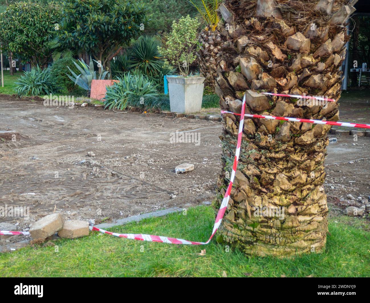 Reconstruction of the bike path. Replacing tiles on a bike path among ...