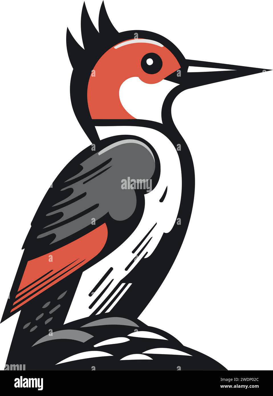 Woodpecker illustration hi-res stock photography and images - Alamy