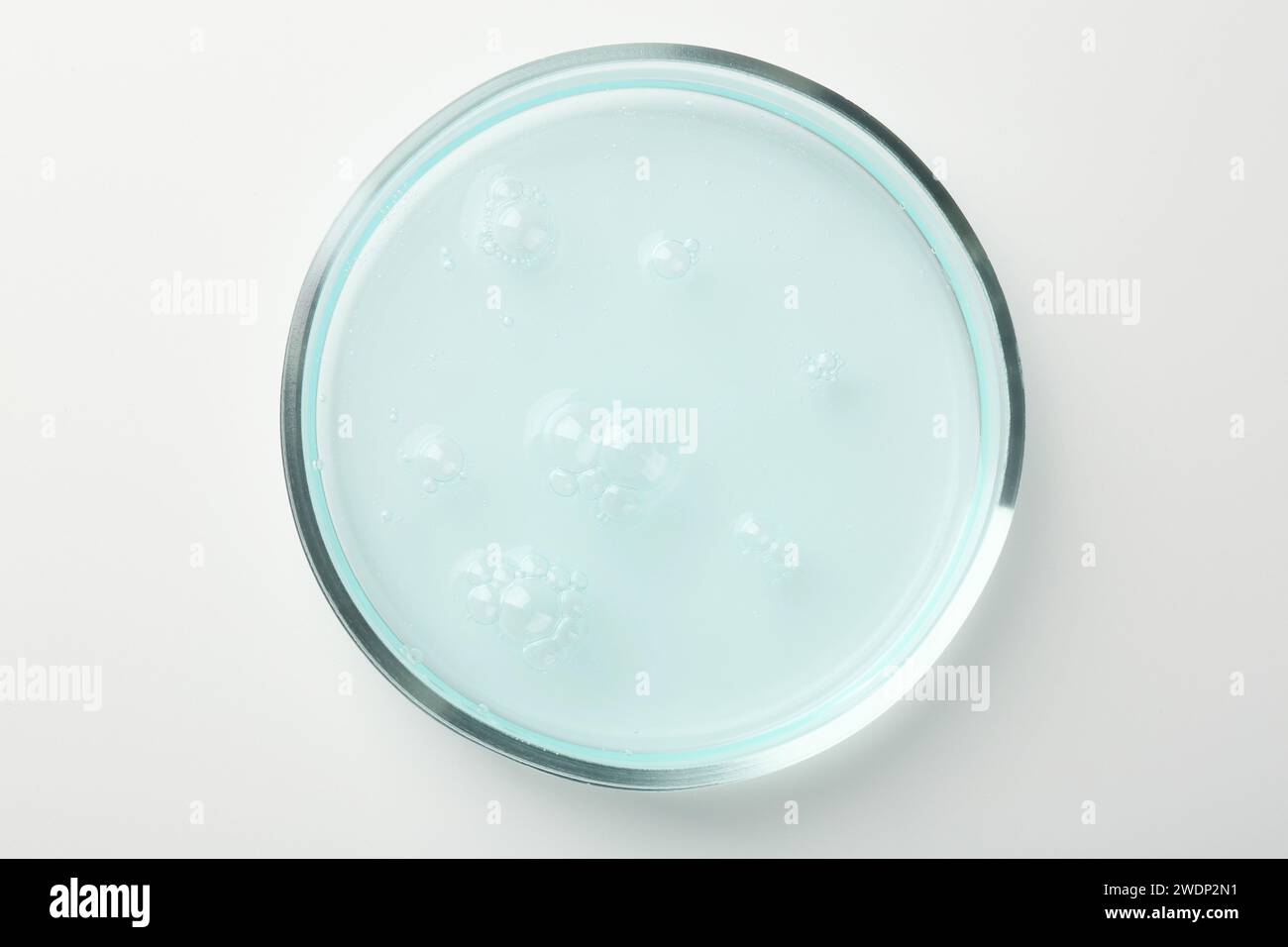 Petri dish with light blue liquid sample on white background, top view ...