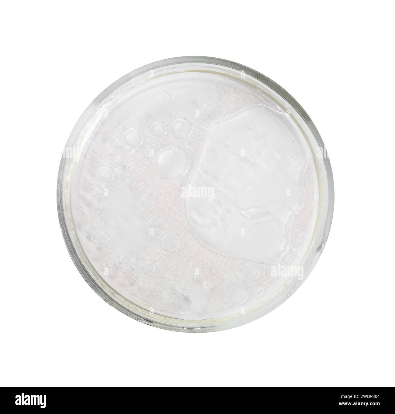 Petri dish with liquid sample isolated on white, top view Stock Photo ...