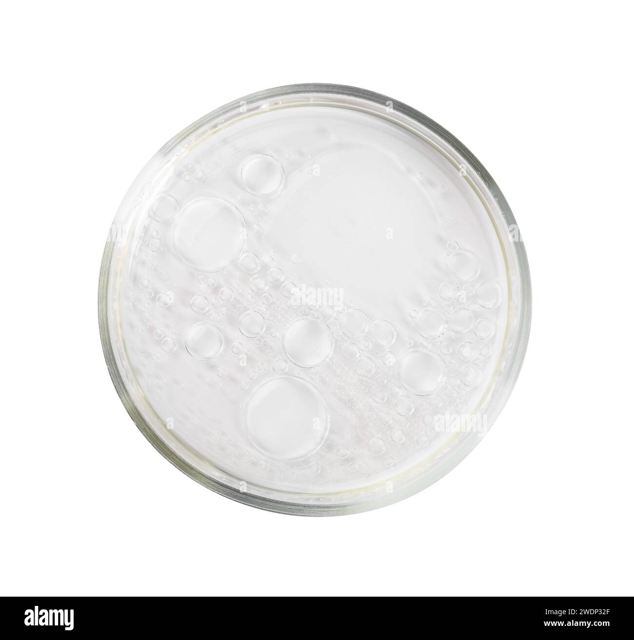 Petri dish with liquid sample isolated on white, top view Stock Photo ...
