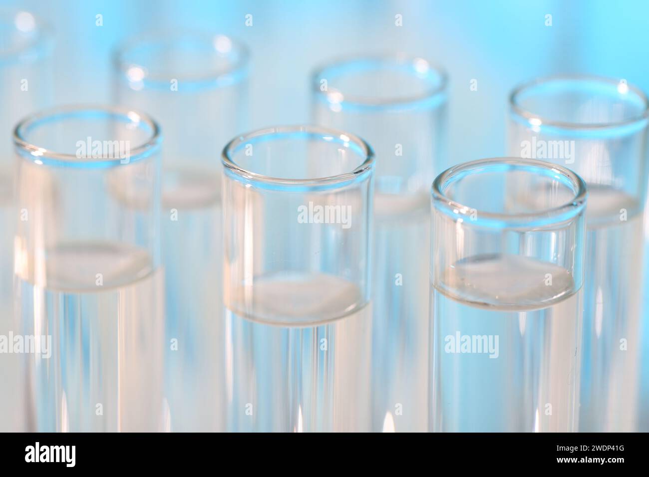 Laboratory analysis. Many glass test tubes on light blue background ...