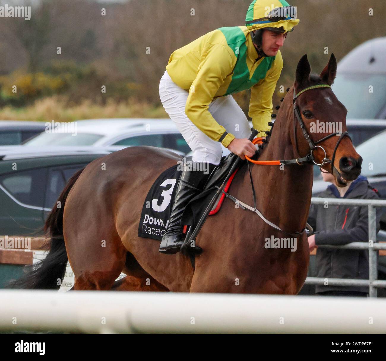 Ebf Farming Roya Down Royal Racecourse, Lisburn, Northern Ireland. 26th Dec 2023. Boxing ...