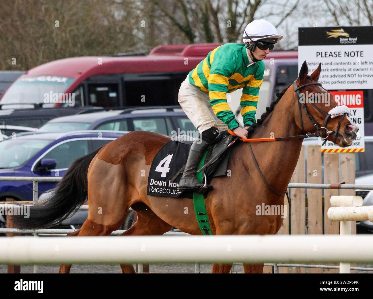 Down Royal Racecourse, Lisburn, Northern Ireland. 26th Dec 2023. Boxing Day National Hunt meeting - Irish Stallion Farms EBF Beginners Chase. Racehorse Dontlettheoldmanin (4) ridden by jockey Gavin Brouder trained by A J Martin. Stock Photo