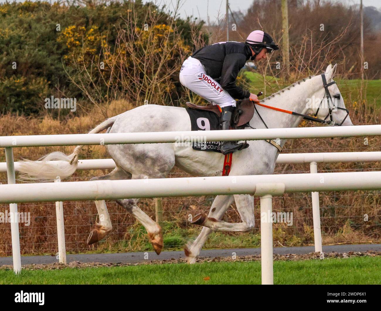 Down Royal Racecourse, Lisburn, Northern Ireland. 26th Dec 2023. Boxing Day National Hunt meeting - Irish Stallion Farms EBF Beginners Chase. Racehorse One of us is lying (9) ridden by jockey Tom Harney trained by Neill McCluskey. Stock Photo