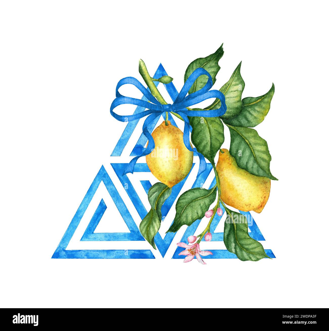 White Triangle Ripe Watercolor illustration of a twig with yellow ripe lemons and blue ...