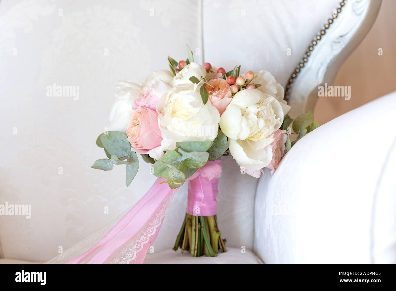 David austin orange rose hi-res stock photography and images - Alamy