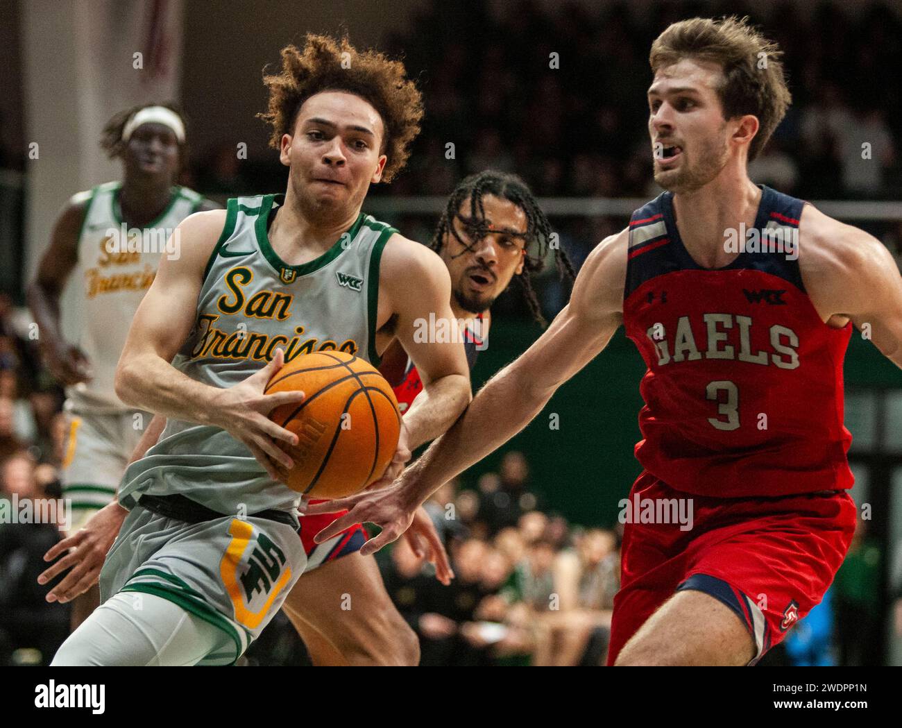 2024 0224 jpg hires stock photography and images Alamy