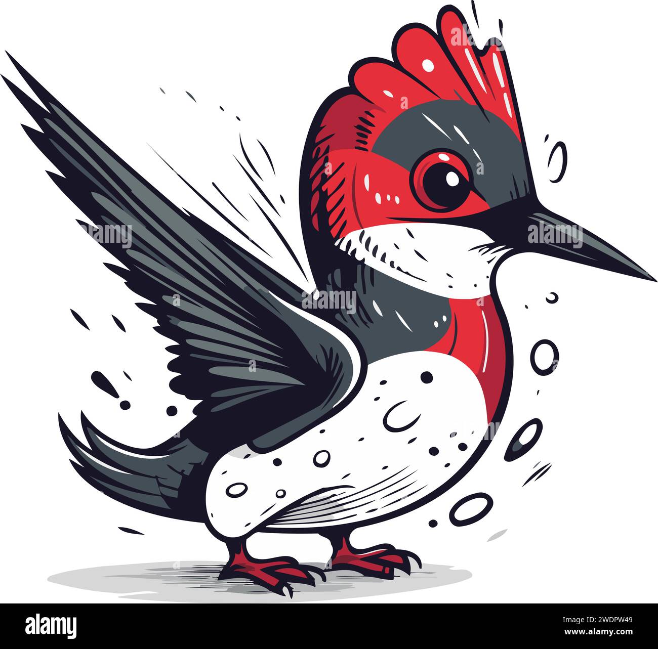Woodpecker vector illustration. Hand drawn doodle sketch style Stock