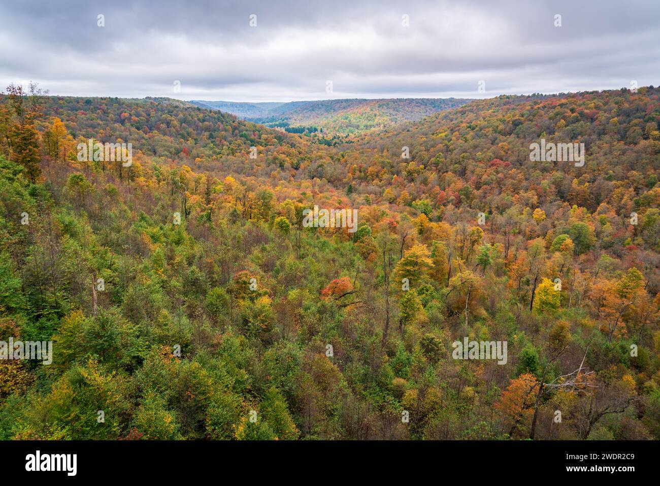 The Kinzua Bridge State Park in Pennsylvania Stock Photo Alamy