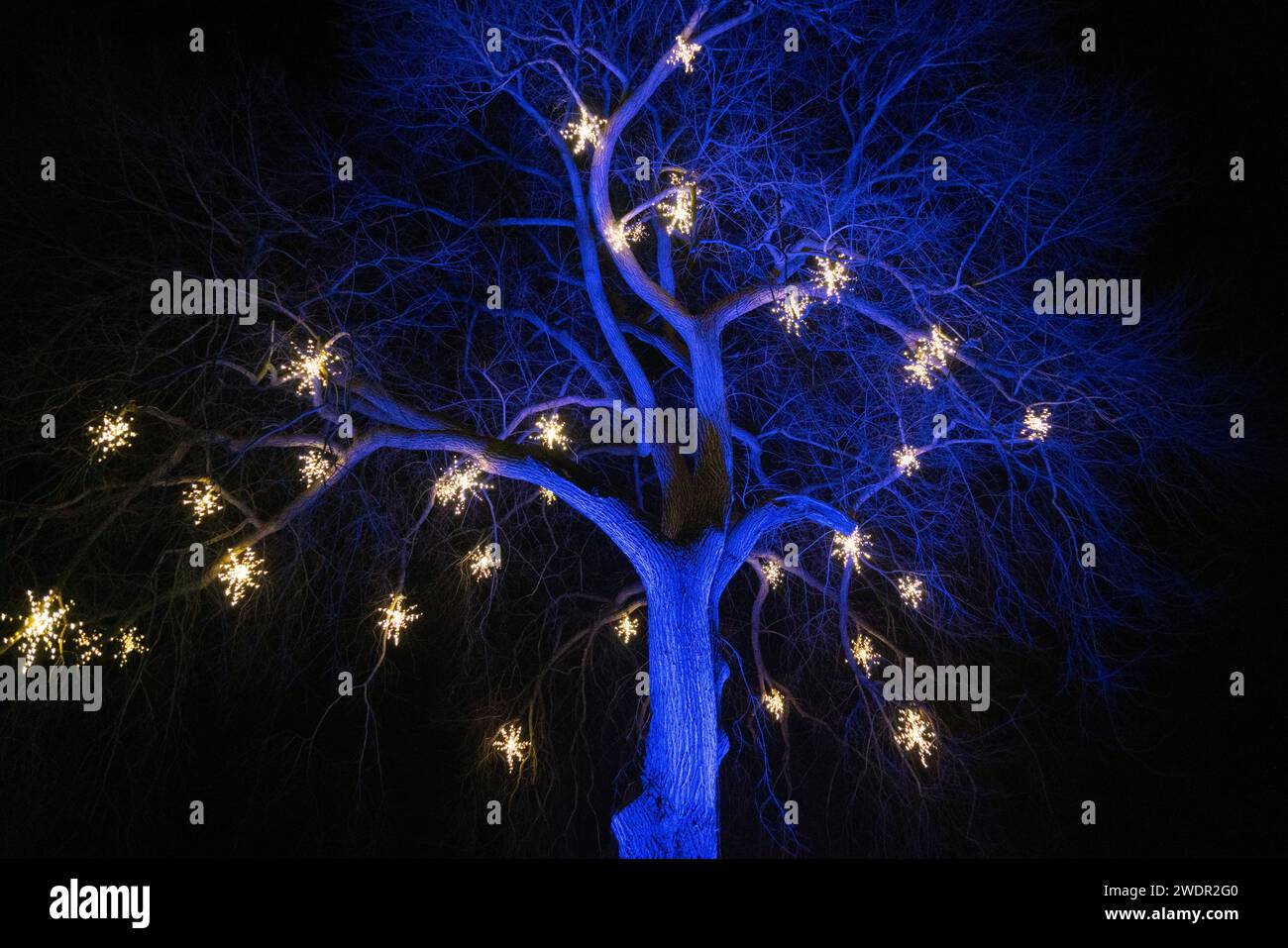 Christmas Lights and Festive Displays at Longwood Gardens, Botanical Garden in Pennsylvania