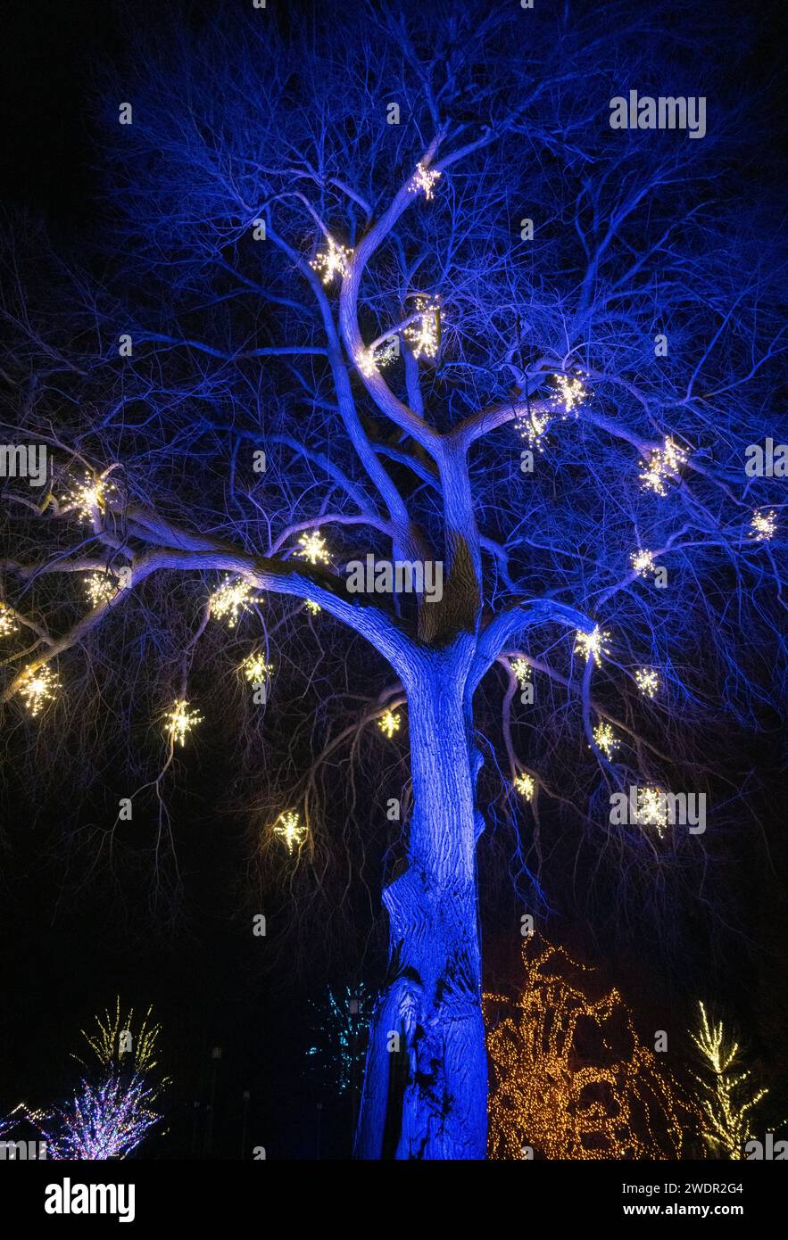 Christmas Lights and Festive Displays at Longwood Gardens, Botanical Garden in Pennsylvania