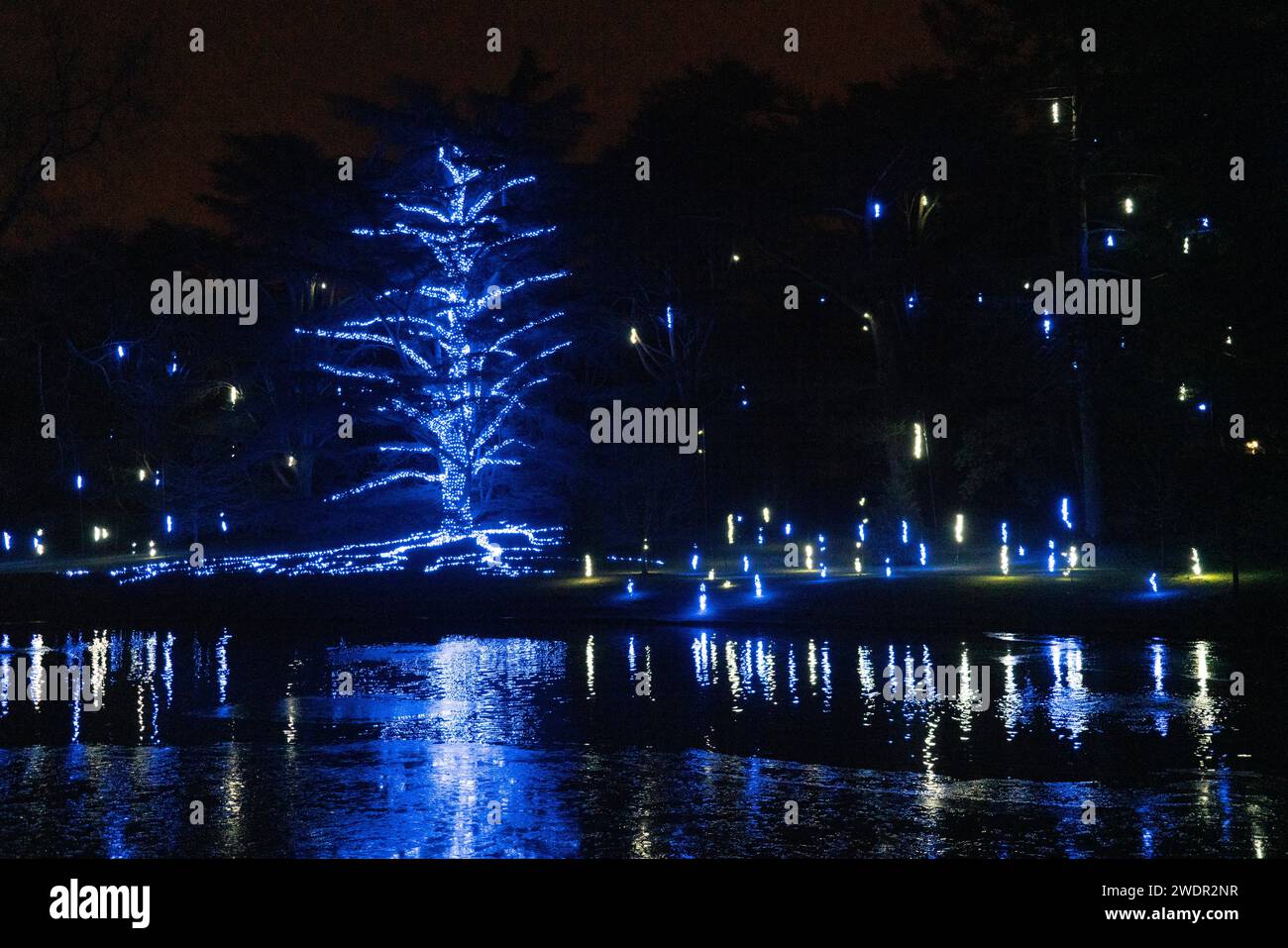 Christmas Lights and Festive Displays at Longwood Gardens, Botanical