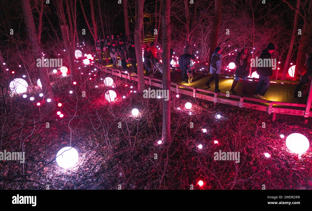 Christmas Lights and Festive Displays at Longwood Gardens, Botanical Garden in Pennsylvania