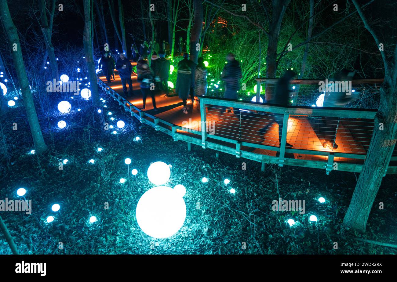 Christmas Lights and Festive Displays at Longwood Gardens, Botanical Garden in Pennsylvania