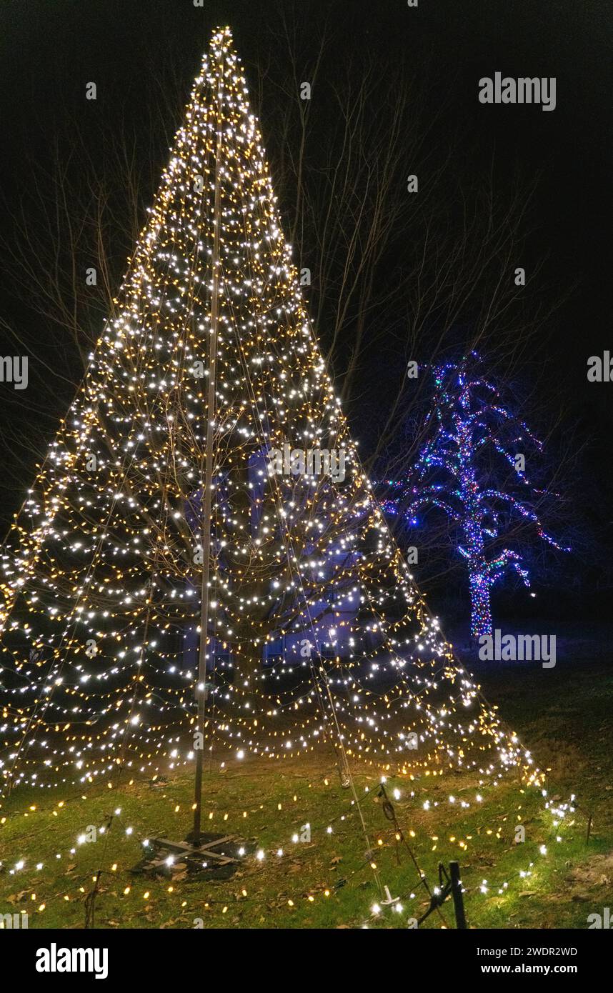 Christmas Lights and Festive Displays at Longwood Gardens, Botanical