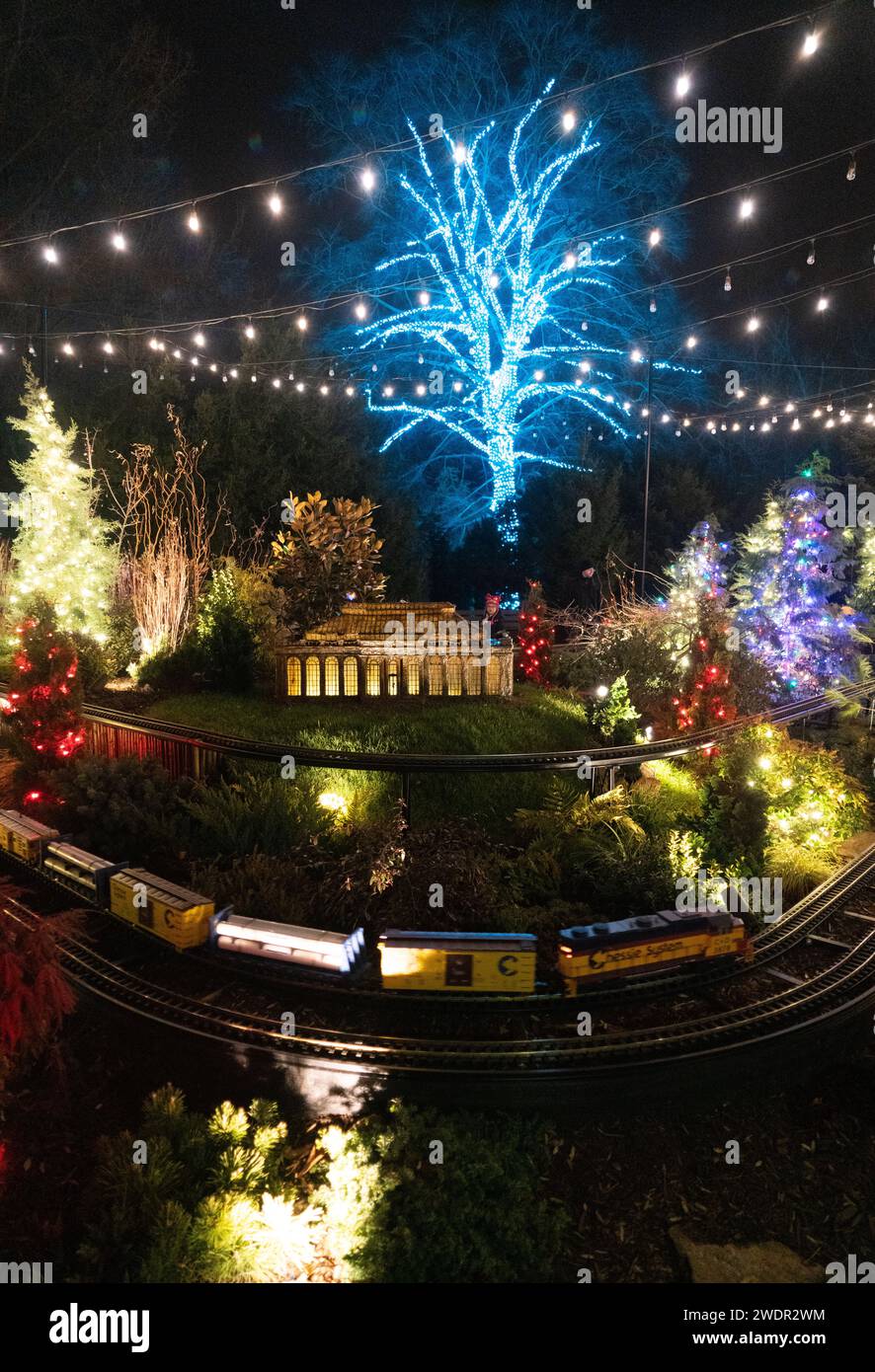 Christmas Lights and Festive Displays at Longwood Gardens, Botanical