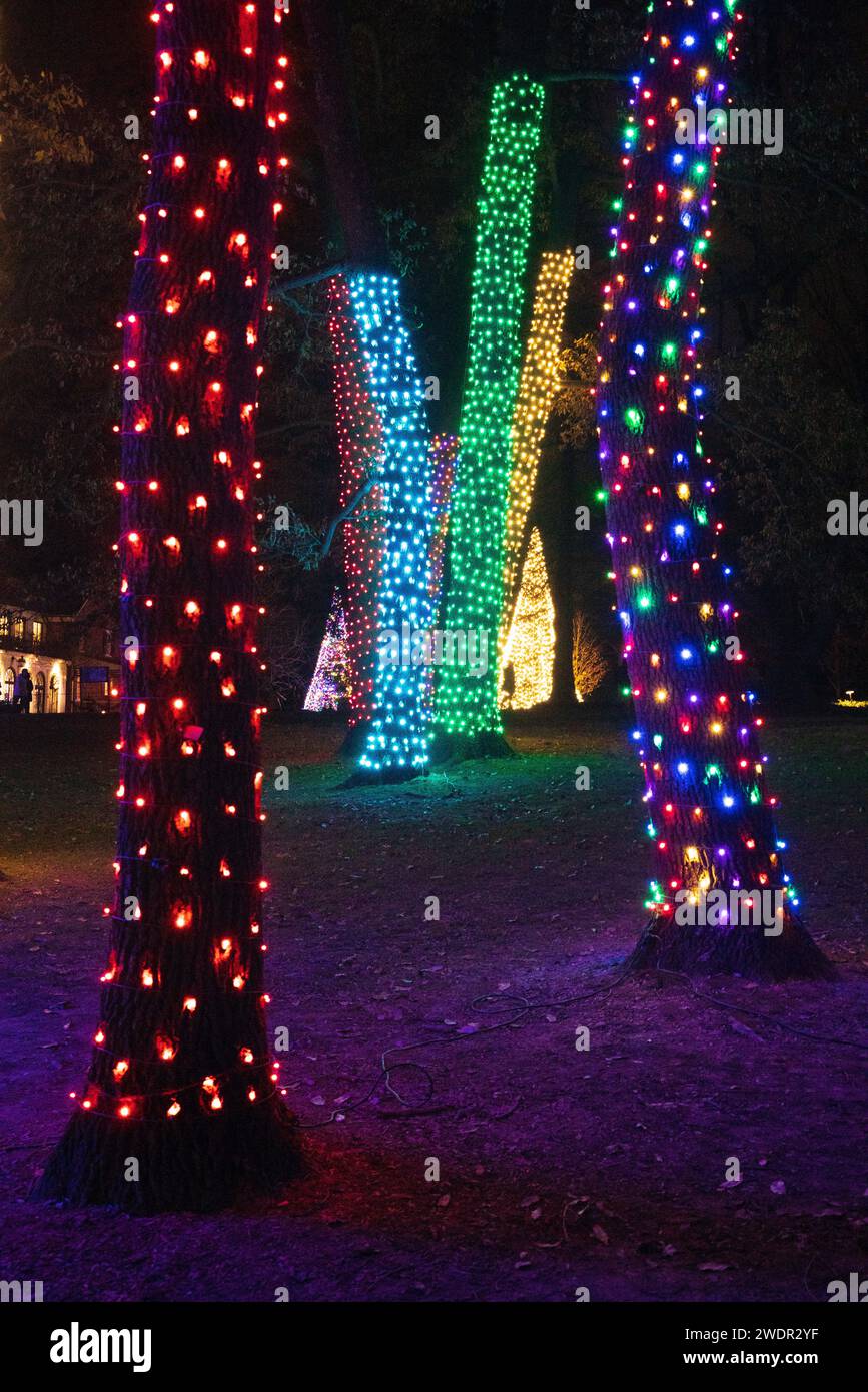 Christmas Lights And Festive Displays At Longwood Gardens, Botanical 