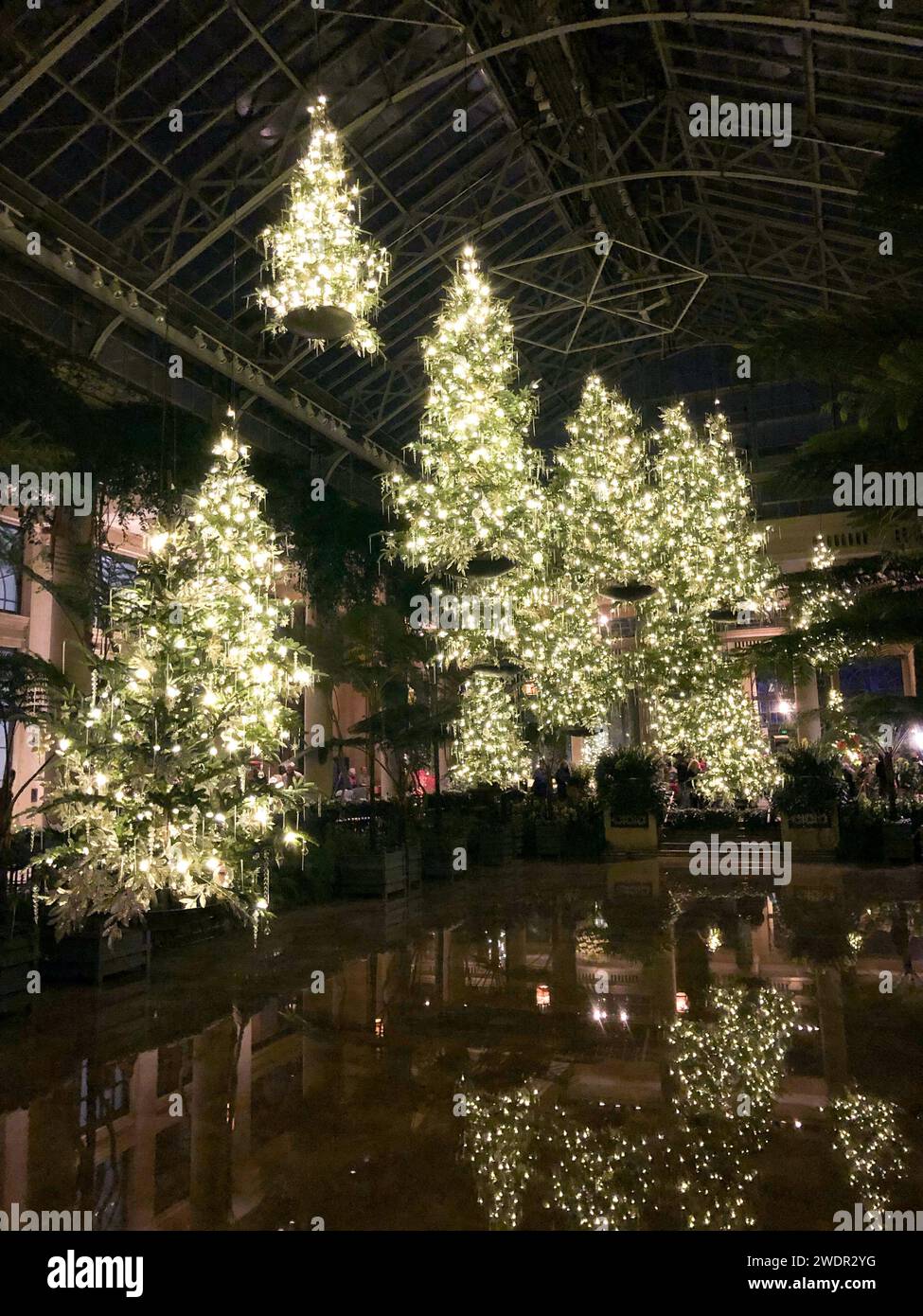 Christmas Lights and Festive Displays at Longwood Gardens, Botanical