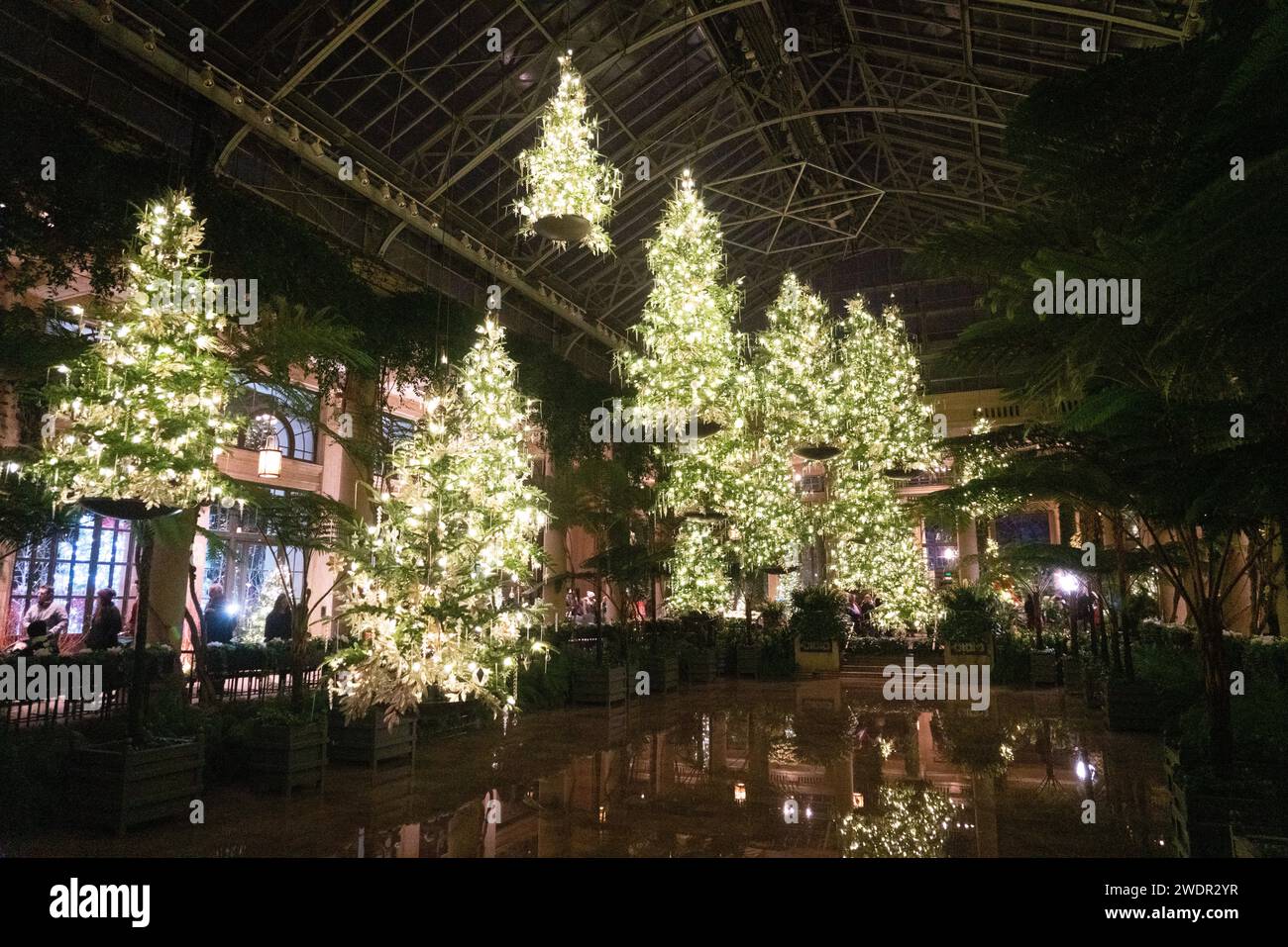 Christmas Lights and Festive Displays at Longwood Gardens, Botanical