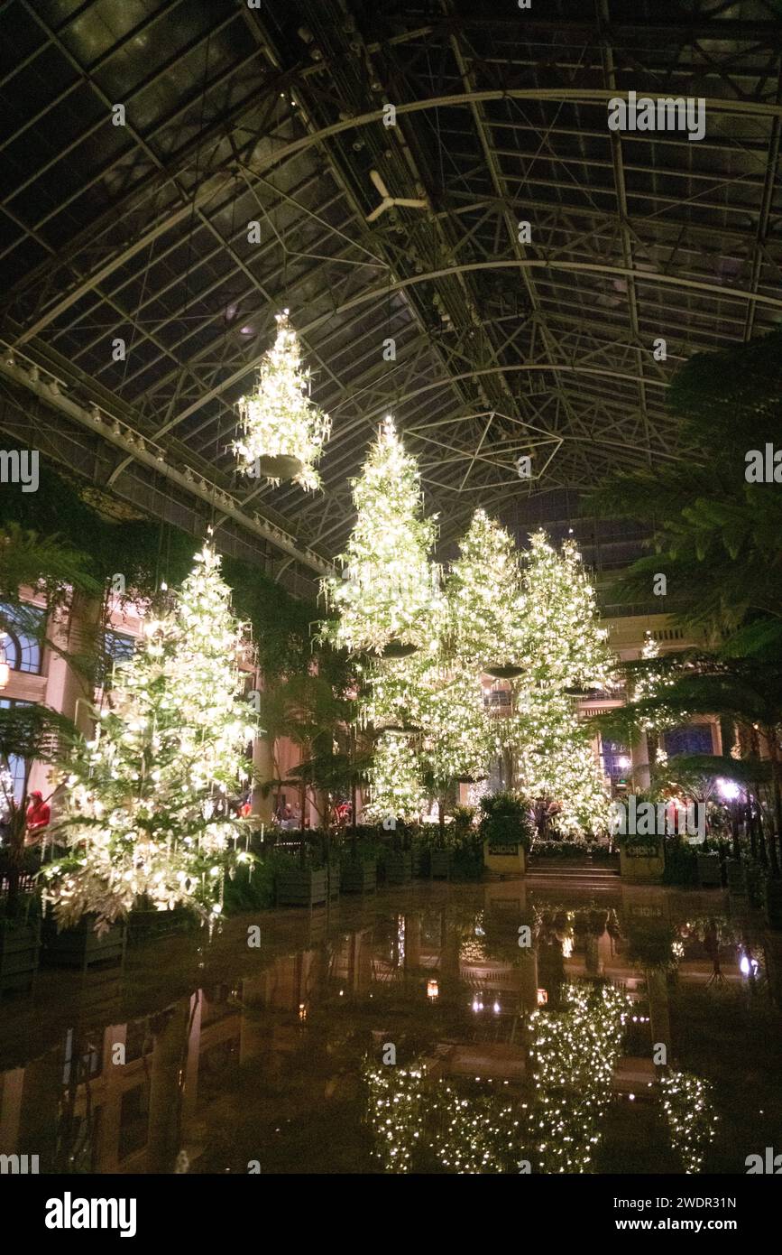 Christmas Lights and Festive Displays at Longwood Gardens, Botanical