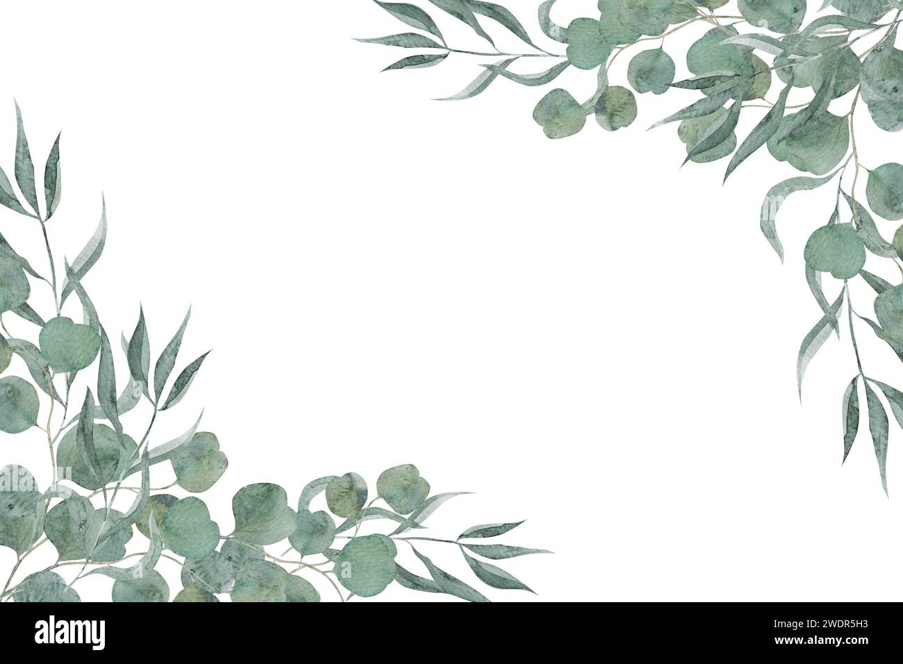 Watercolor hand painted green floral card with eucalyptus leaves and ...