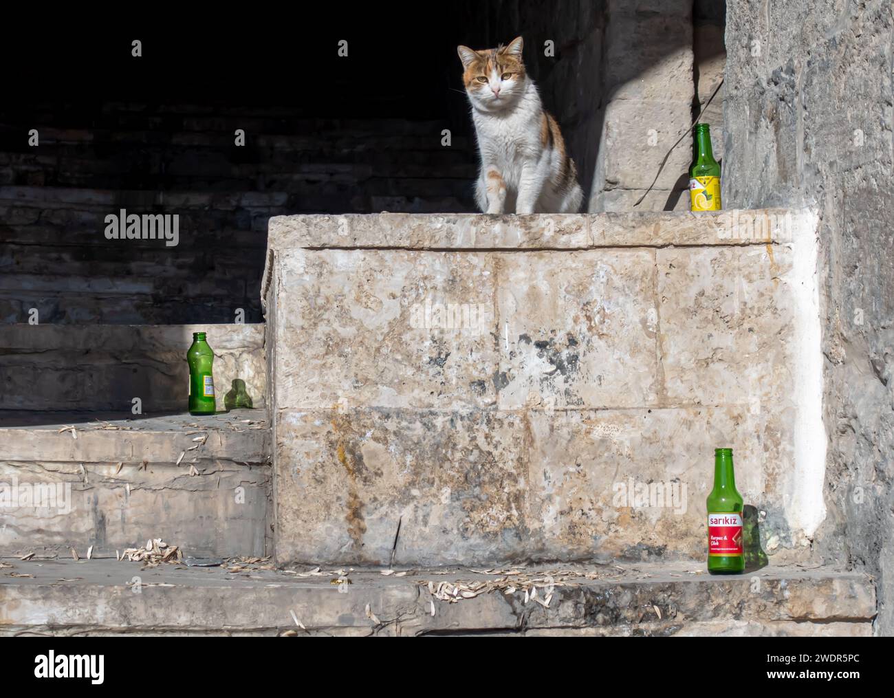 Street cat and empty bottles, steps in Mardin Turkey Stock Photo