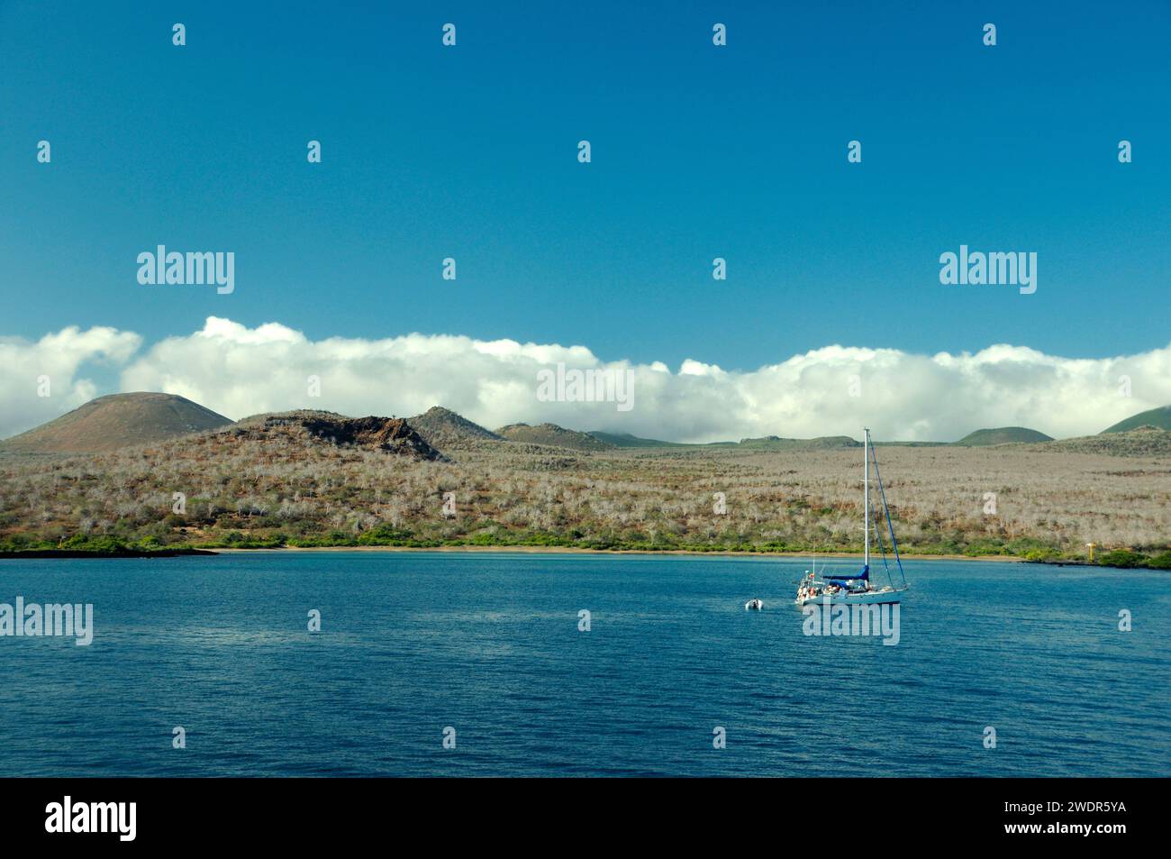 Ecuador galápagos islands hi-res stock photography and images - Alamy