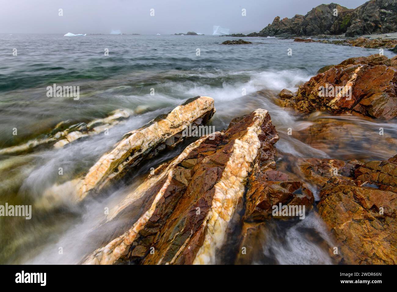 Canada, Maritimes, Newfoundland, North Twillingate island, Little Wild Cove Stock Photo