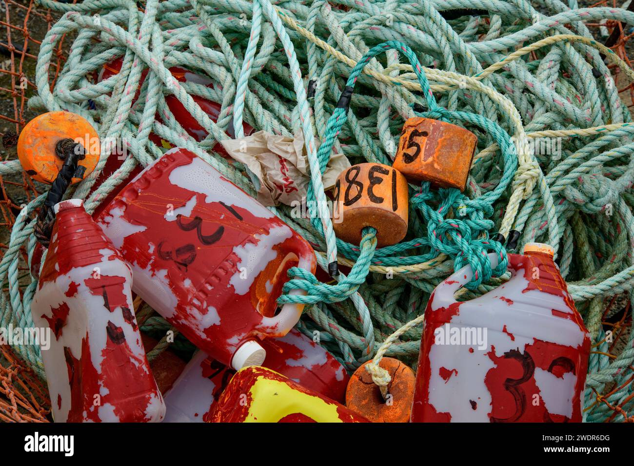 Canada, Maritimes, Newfoundland,Petty HarbourMaddox Cove, gear Stock