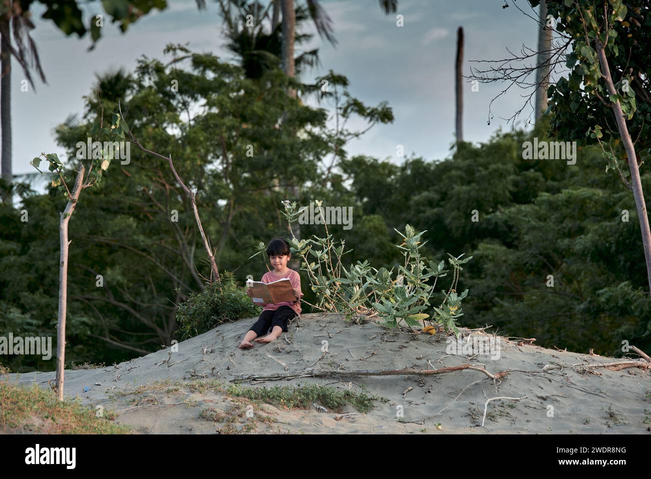 A cute little girl sits under a tree reading a book in the tropical ...
