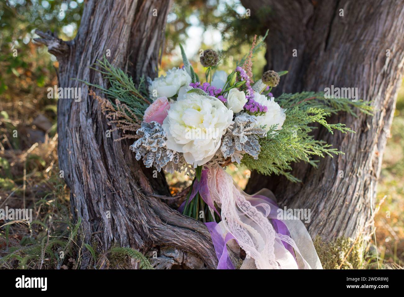 gorgeous bridal bouquet with white peonies Stock Photo - Alamy