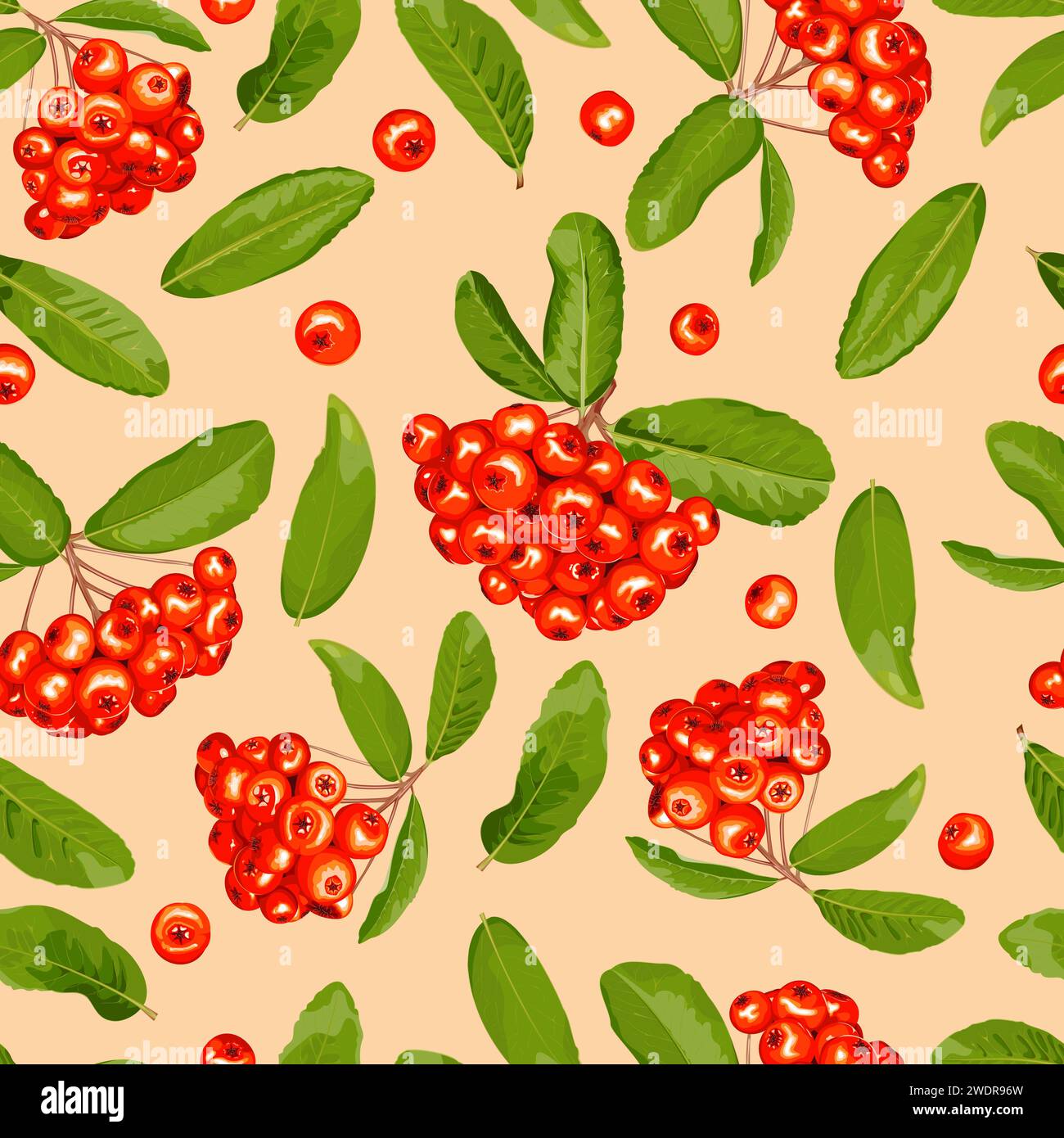 Seamless pattern of pyracantha fruits and leaves on a beige background Stock Vector